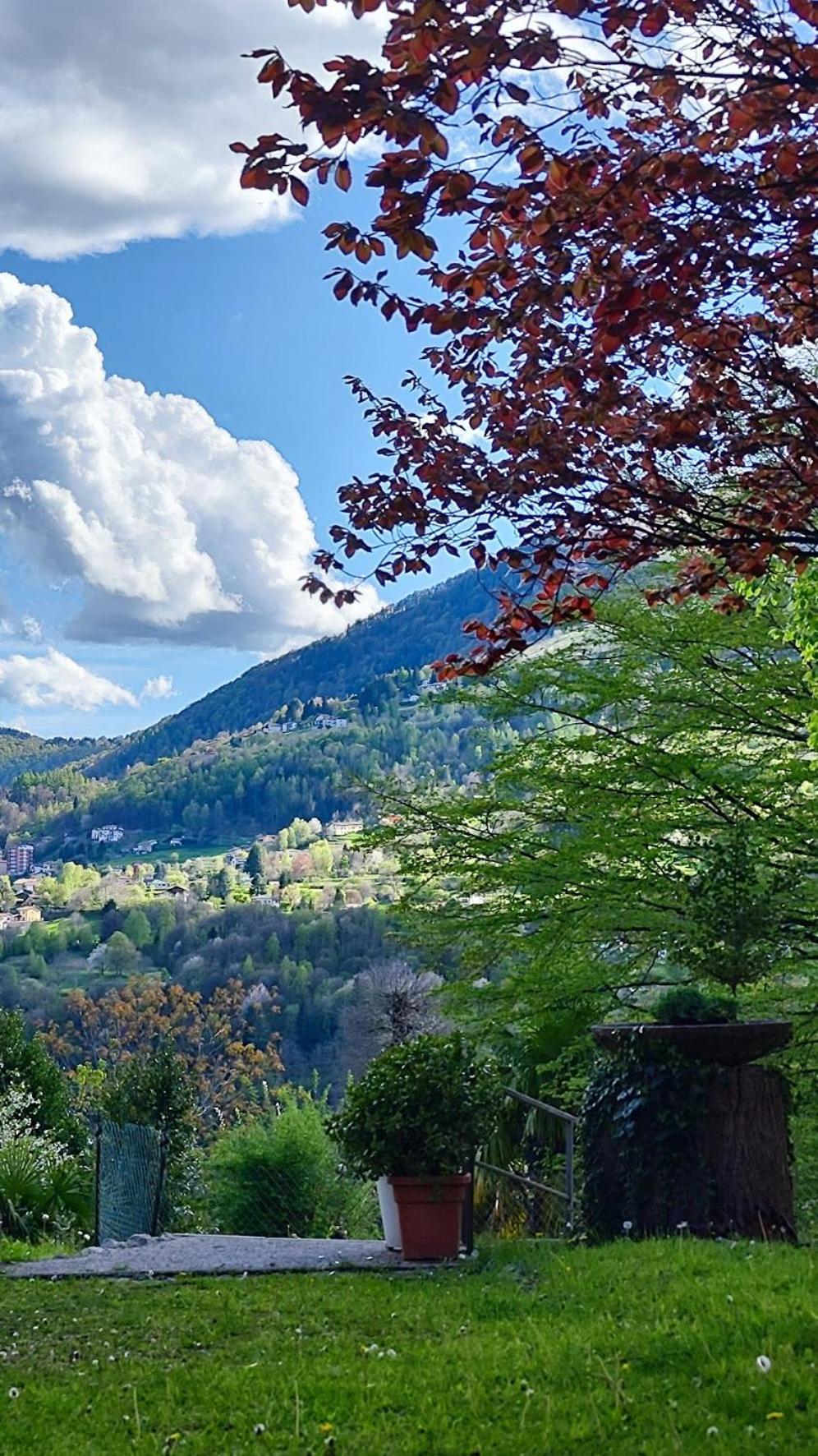 Villa Alma, Lake Como Bed&Breathe San Fedele Intelvi Exterior foto
